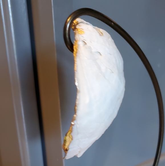 Cardinal Oyster Shell Ornament Design ⚜️❤️⚜️ - Picture 7 of 8